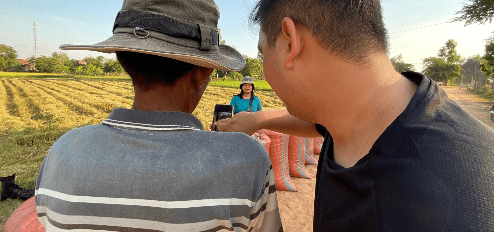 Two people stand in the foreground pointing at a smartphone, as a woman poses in the background in front of a field of rice.