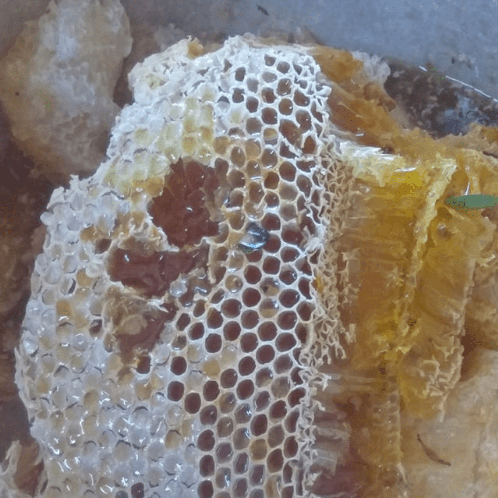 Honey comb