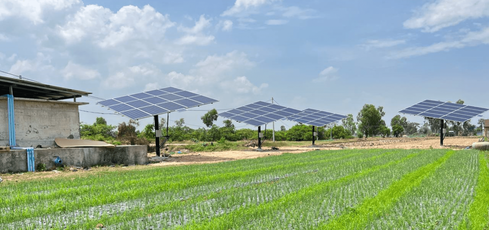 Solar panels along a field in rural Cambodia, installed as part of SOGE's solar pump system.