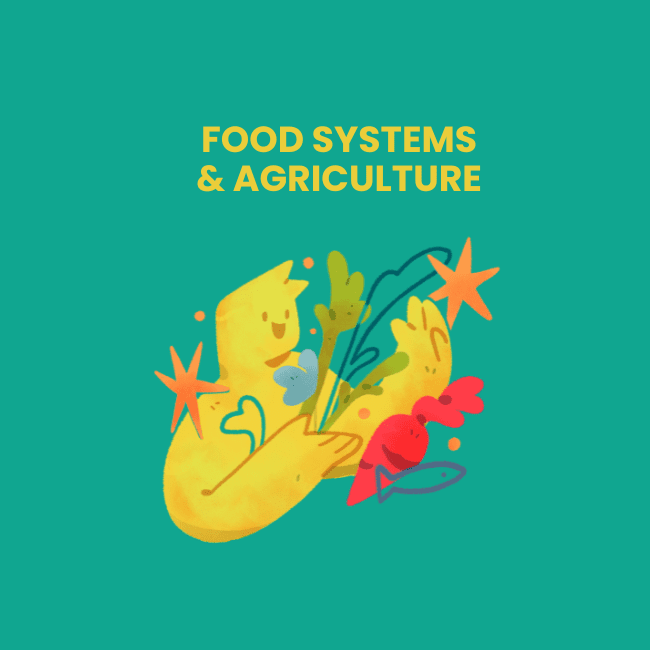 Food system and agriculture (ប្រព័ន្ធចំនីអាហារ និងកសិកម្ម)-កសិកម្មឥឡូវ