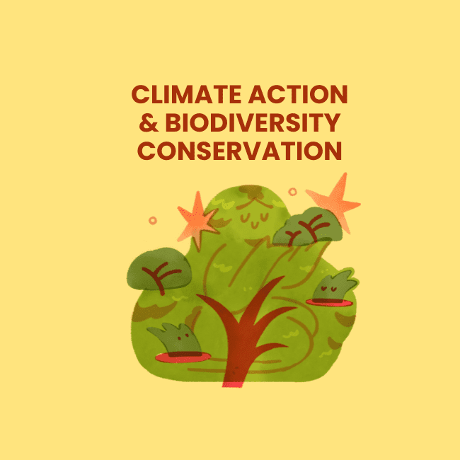 Climate action & biodiversity conservation (សកម្មភាពបរិស្ថាន និងការអភិរក្សជីវចម្រុះ) - បរិស្ថានយើង