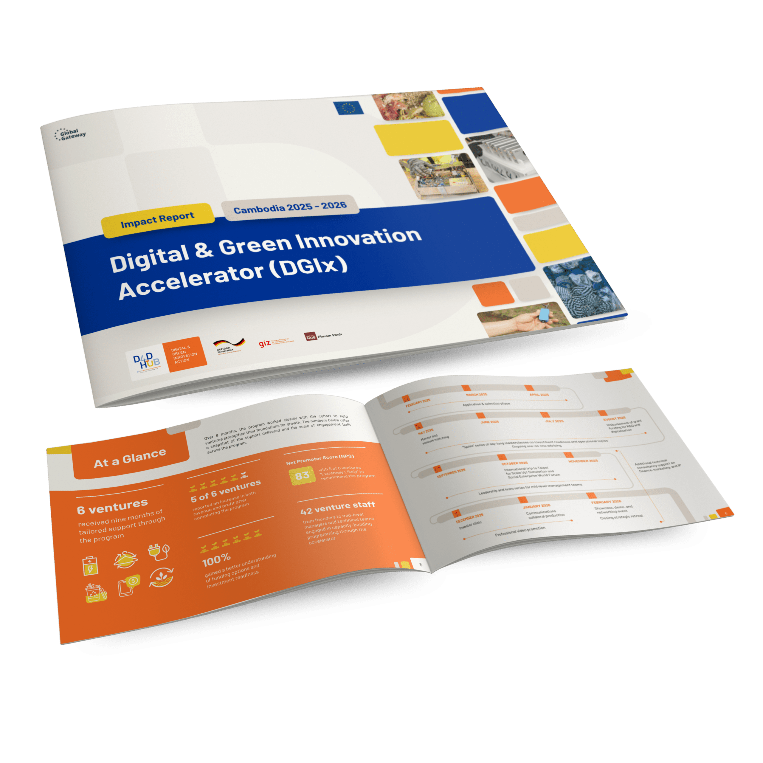 DGIx impact report cover
