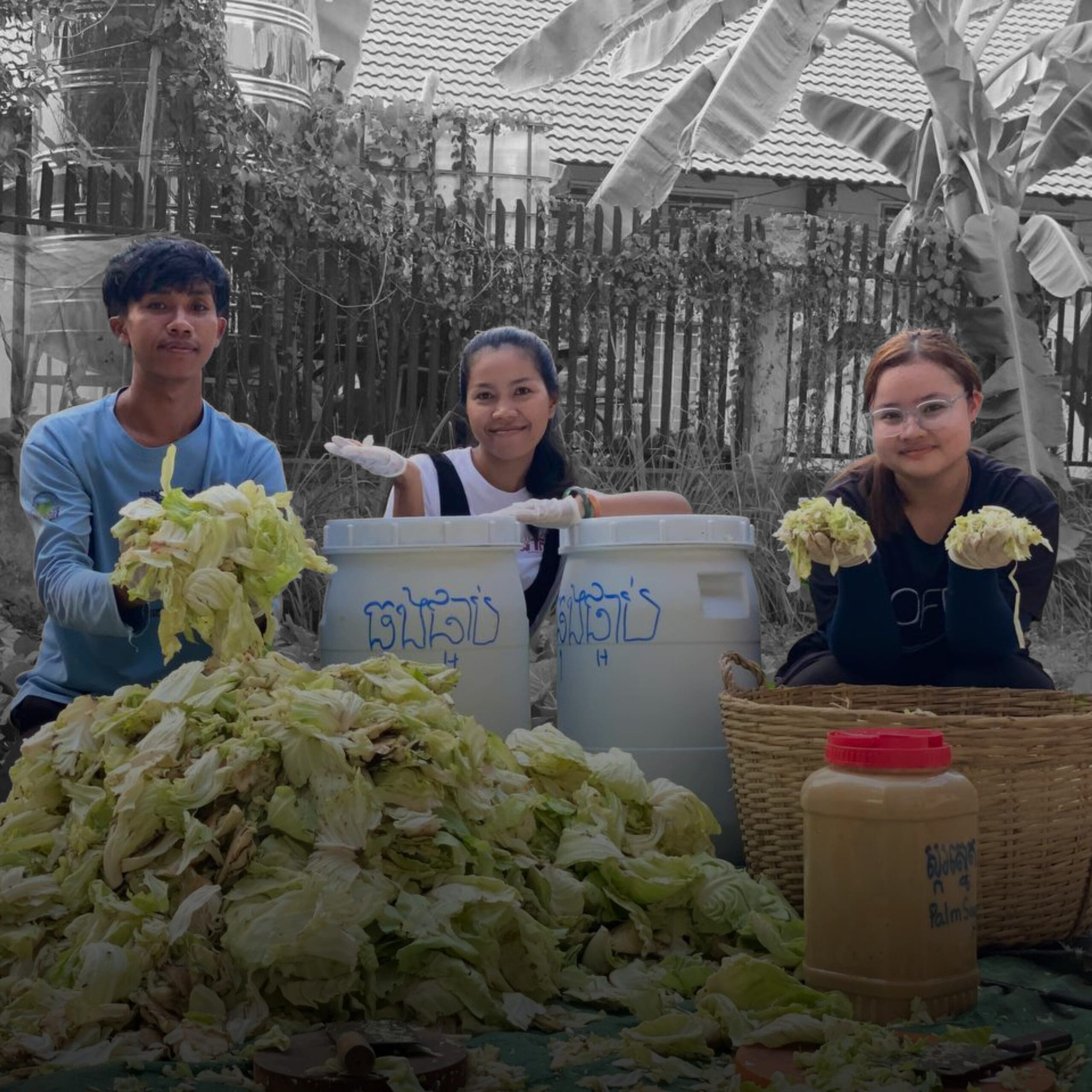 Three people outdoors prepare cabbage in front of two large barrels and a basket. A jar sits nearby. The mood is collaborative and focused.