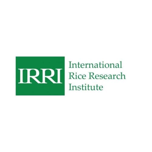 IRRI Logo