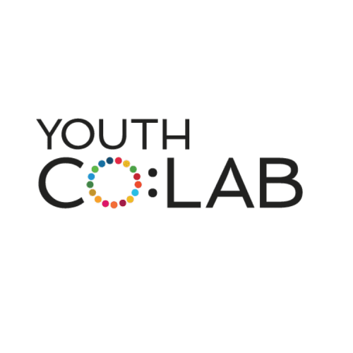 Partner Logos - Youth Co-Lab