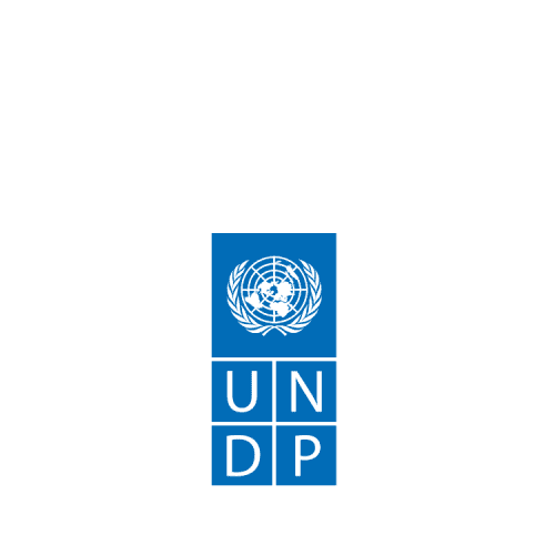 UNDP logo