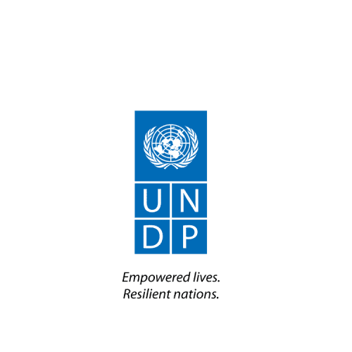 UNDP